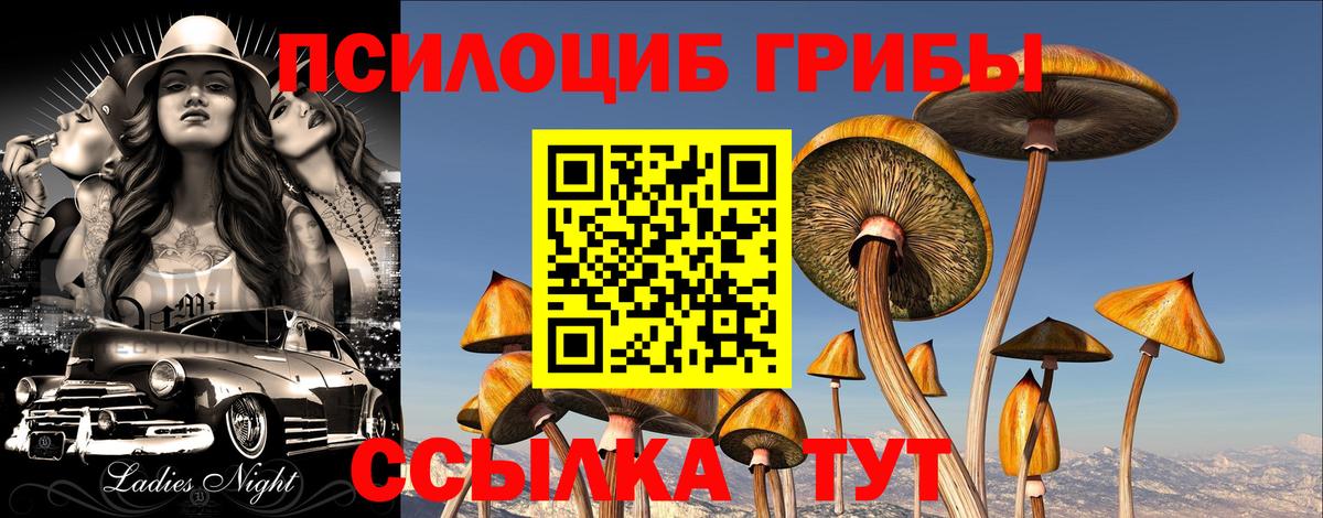 Псилоцибиновые грибы Psilocybe  Галлюциногенные грибы MAGIC MUSHROOMS  купить   Таганрог  Вход с VPN 